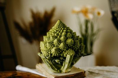 Chou romanesco posé sur un livre