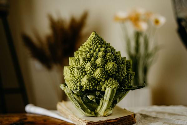 Chou romanesco posé sur un livre